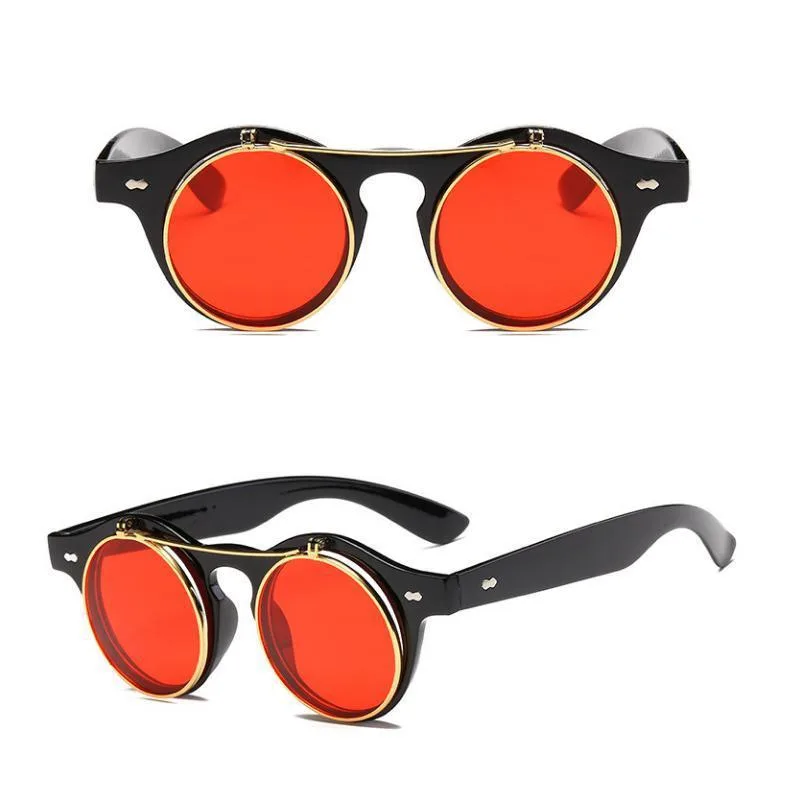 Vue 5 — Lunettes de Soleil Steampunk Flip-up