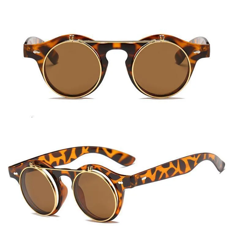 Vue 6 — Lunettes de Soleil Steampunk Flip-up