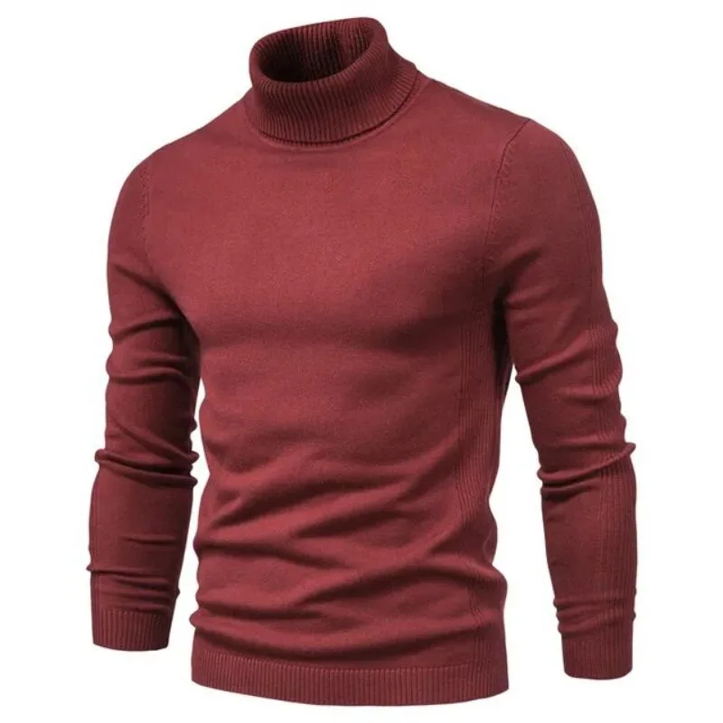 Vue 11 — Pull Col Roulé Homme Slim