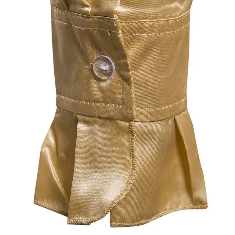 Vue 4 — Chemise Steampunk en Satin Gold