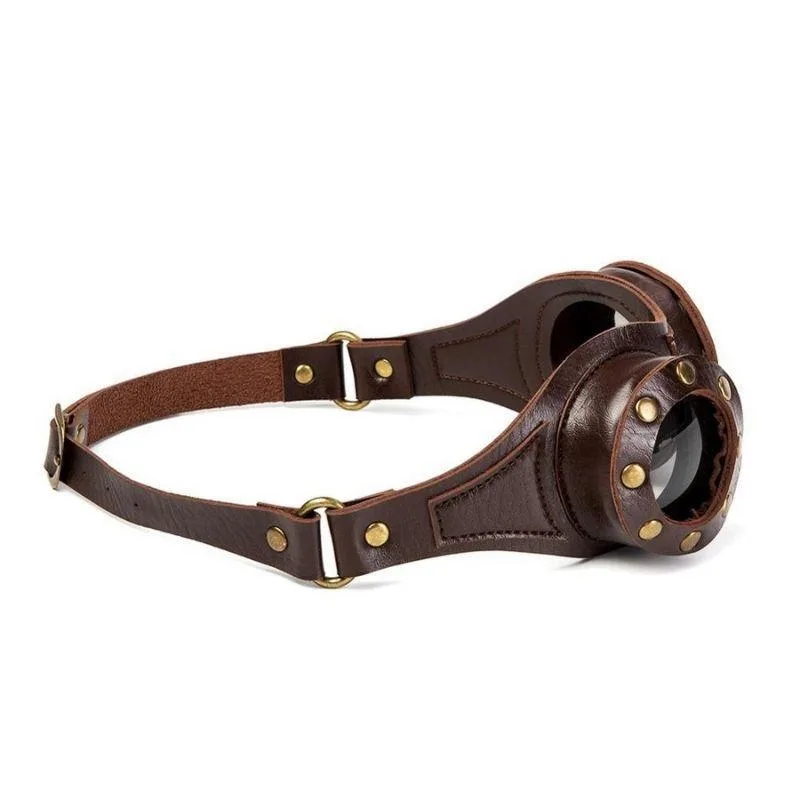 Vue 6 — Lunettes Steampunk PU