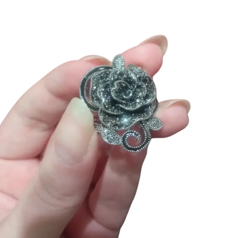 Vue 6 — Bague Victorienne Steampunk