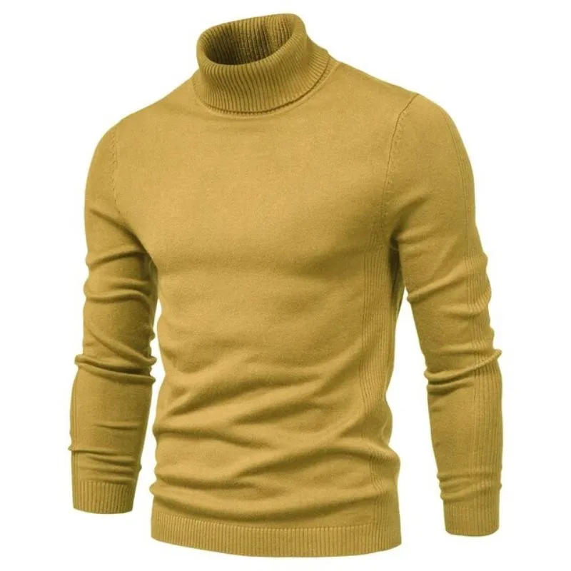 Vue 6 — Pull Col Roulé Homme Slim