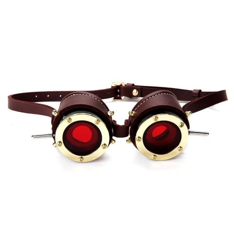 Vue 4 — Lunettes Steampunk Goggles