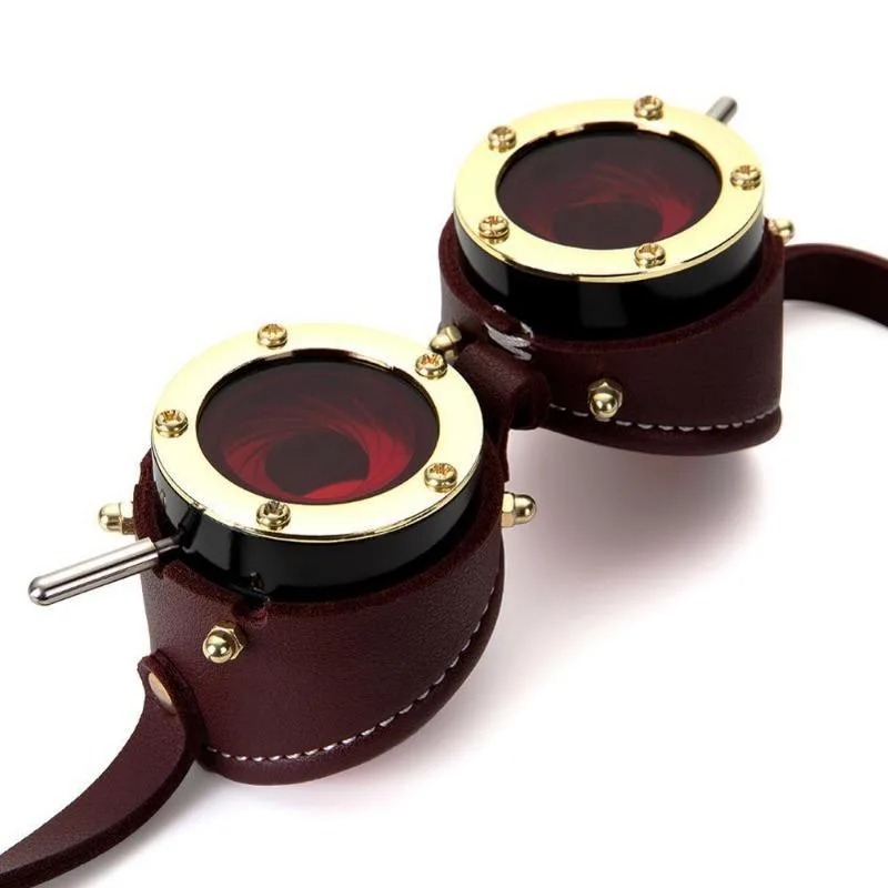 Vue 3 — Lunettes Steampunk Goggles