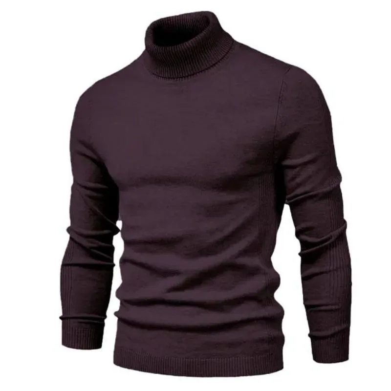 Vue 8 — Pull Col Roulé Homme Slim